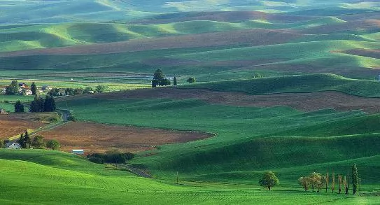 ԱԵʶҹò